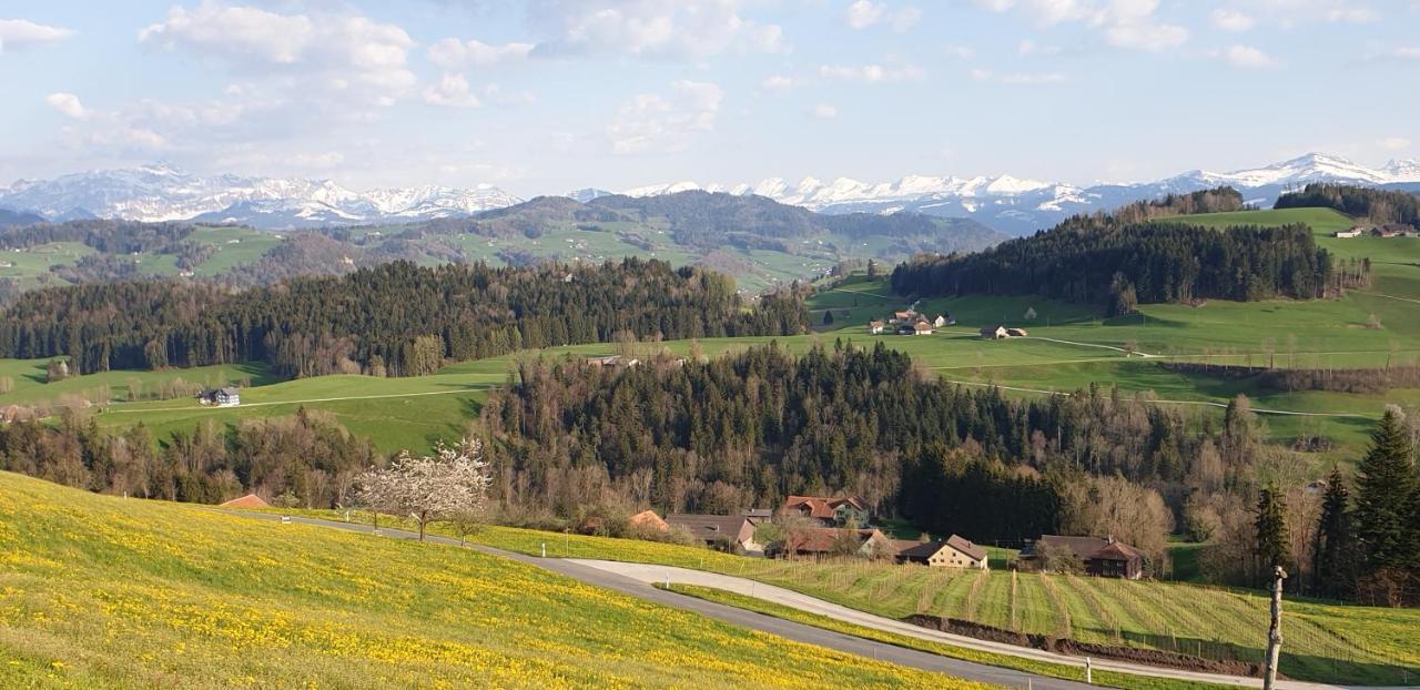 Bnb Alpenblick Lütisburg エクステリア 写真