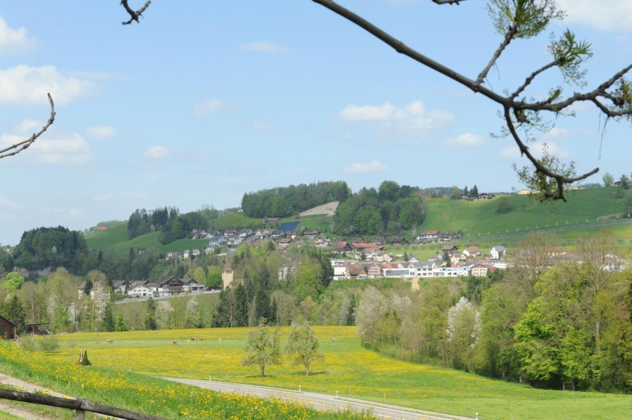 Bnb Alpenblick Lütisburg エクステリア 写真