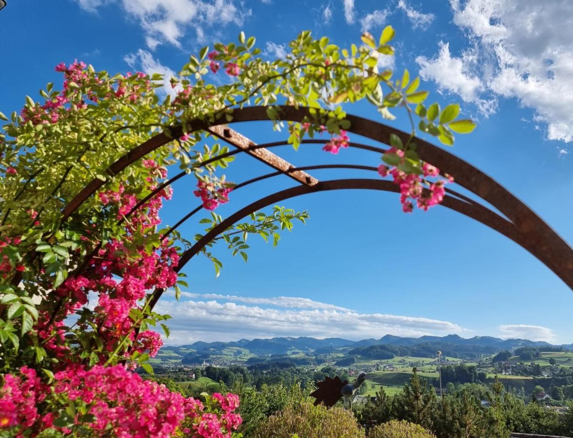 Bnb Alpenblick Lütisburg エクステリア 写真
